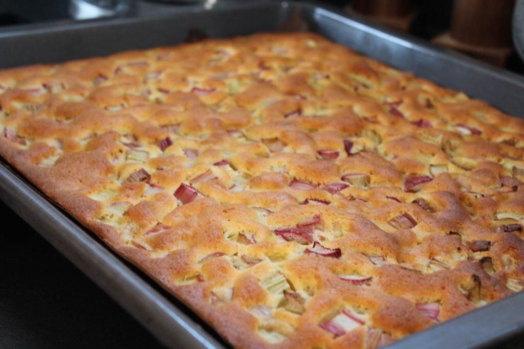blech-rhabarberkuchen-1024x683.jpg