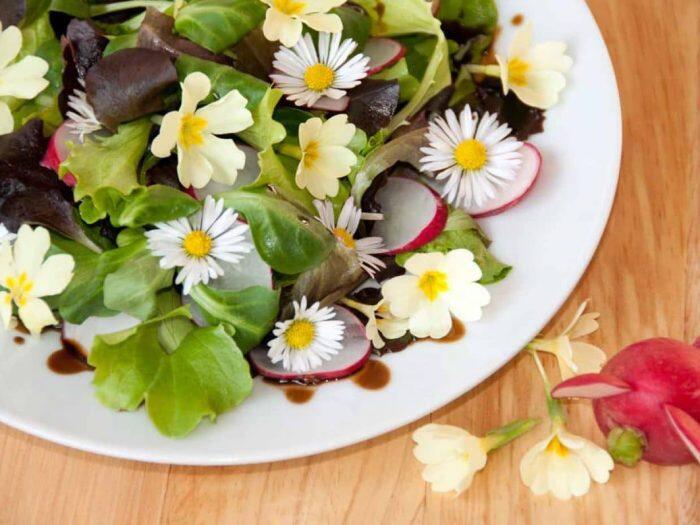 Salat-mit-Gaensebluemchen