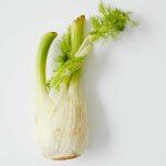 etepetete-fenchel-150x150-1.jpg